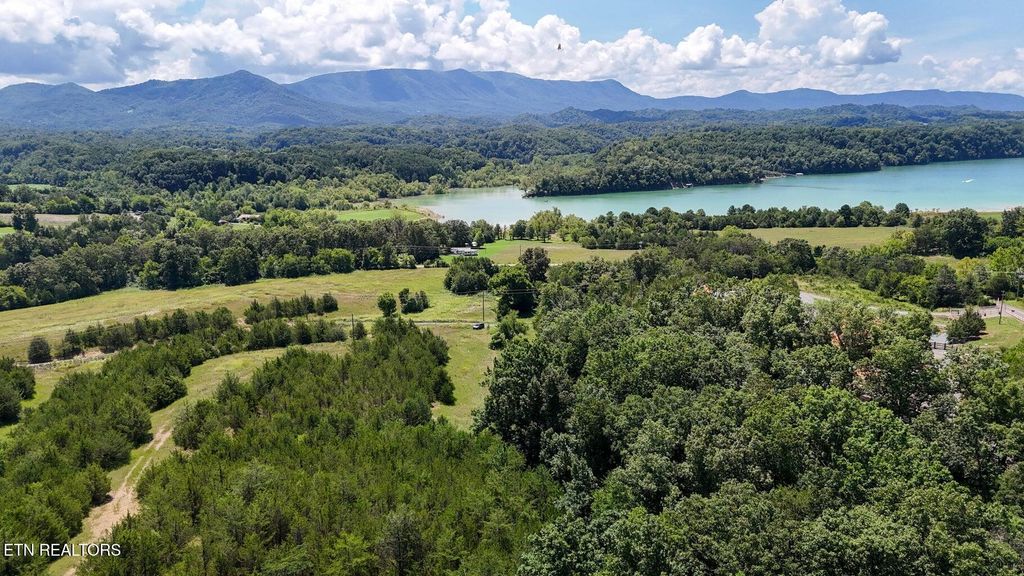 Photo of 1440 Swannsylvania Rd, Dandridge, TN 37725 (MLS # 1313076)