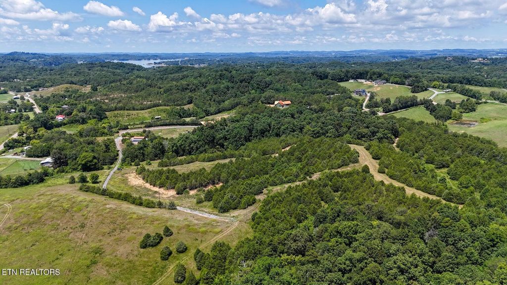 Photo of 1440 Swannsylvania Rd, Dandridge, TN 37725 (MLS # 1313076)