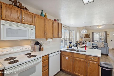 Tiny photo for 848 Plantation dr Dr, Pigeon Forge, TN 37863 (MLS # 1325920)