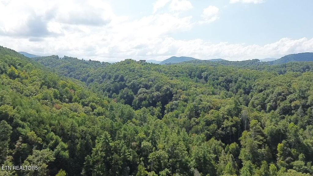 Photo of 99 Black Powder Ln, Sevierville, TN 37862 (MLS # 1316125)