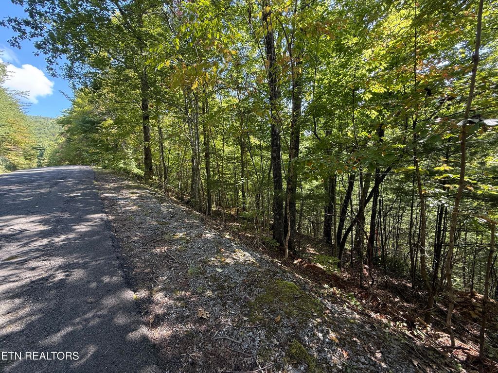Photo of 99 Black Powder Ln, Sevierville, TN 37862 (MLS # 1316125)