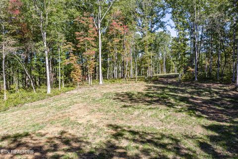 Tiny photo for 634 Cumberland Cove Rd, Monterey, TN 38574 (MLS # 1349638)