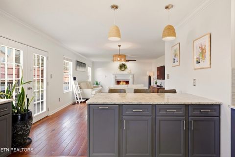 Tiny photo for 4097 Mountain Vista Rd, Knoxville, TN 37931 (MLS # 1331409)