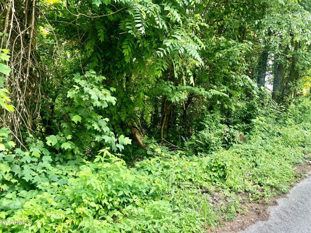 Photo of Opal St, Tazewell, TN 37879 (MLS # 1232284)