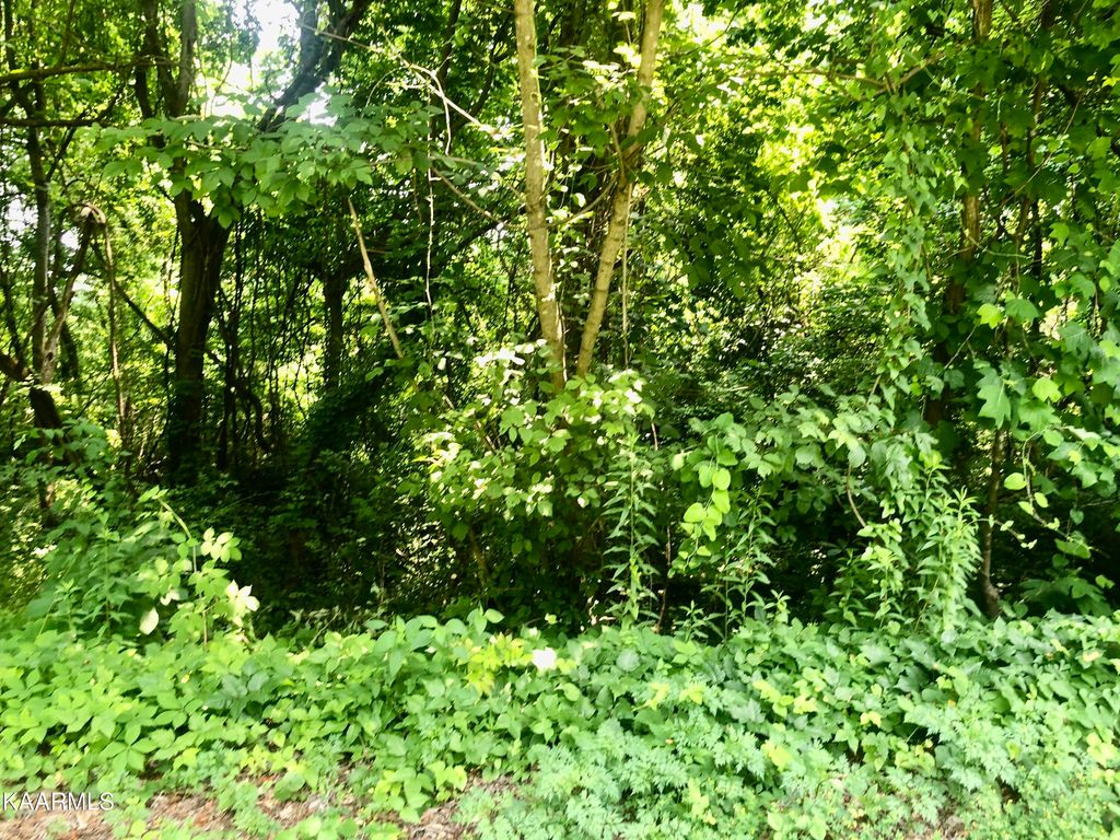 Photo of Opal St, Tazewell, TN 37879 (MLS # 1232284)