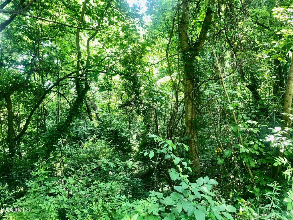 Photo of Opal St, Tazewell, TN 37879 (MLS # 1232284)