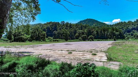 Tiny photo for Par. 24.00 Fugate Rd, Del Rio, TN 37727 (MLS # 1310891)