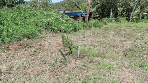 Tiny photo for Par. 24.00 Fugate Rd, Del Rio, TN 37727 (MLS # 1310891)