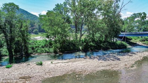 Tiny photo for Par. 24.00 Fugate Rd, Del Rio, TN 37727 (MLS # 1310891)