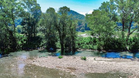 Tiny photo for Par. 24.00 Fugate Rd, Del Rio, TN 37727 (MLS # 1310891)