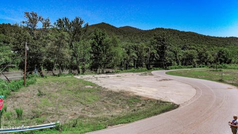 Tiny photo for Par. 24.00 Fugate Rd, Del Rio, TN 37727 (MLS # 1310891)