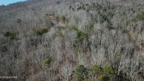 Tiny photo for Lot 142 Whistle Valley Rd, New Tazewell, TN 37825 (MLS # 1325891)