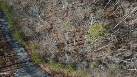 Tiny photo for Lot 142 Whistle Valley Rd, New Tazewell, TN 37825 (MLS # 1325891)