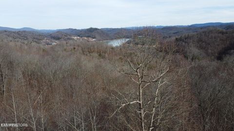 Tiny photo for Lot 142 Whistle Valley Rd, New Tazewell, TN 37825 (MLS # 1325891)