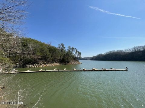 Tiny photo for Lot 142 Whistle Valley Rd, New Tazewell, TN 37825 (MLS # 1325891)