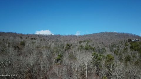 Tiny photo for Lot 142 Whistle Valley Rd, New Tazewell, TN 37825 (MLS # 1325891)