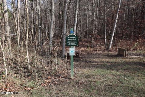 Tiny photo for Lot 142 Whistle Valley Rd, New Tazewell, TN 37825 (MLS # 1325891)