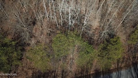 Tiny photo for Lot 142 Whistle Valley Rd, New Tazewell, TN 37825 (MLS # 1325891)