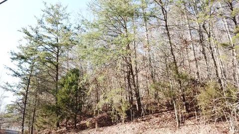 Tiny photo for Lot 142 Whistle Valley Rd, New Tazewell, TN 37825 (MLS # 1325891)