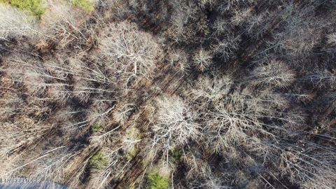 Tiny photo for Lot 142 Whistle Valley Rd, New Tazewell, TN 37825 (MLS # 1325891)