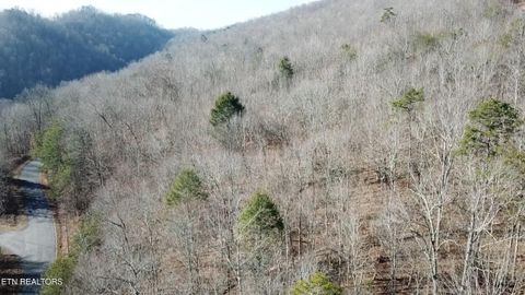 Tiny photo for Lot 142 Whistle Valley Rd, New Tazewell, TN 37825 (MLS # 1325891)