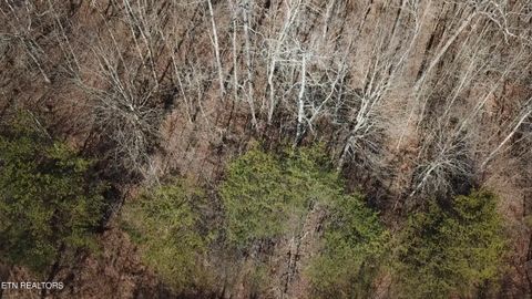 Tiny photo for Lot 142 Whistle Valley Rd, New Tazewell, TN 37825 (MLS # 1325891)