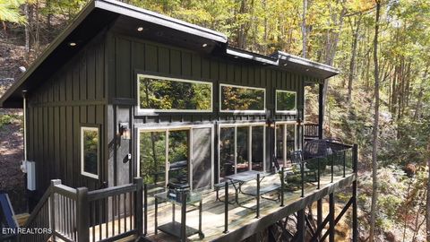 Photo of 2338 Willow Lane, Sevierville, TN 37862 (MLS # 1319114)