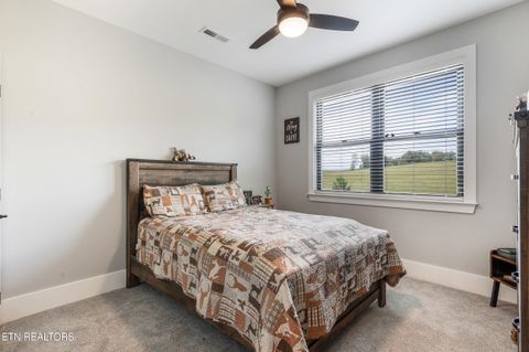 Tiny photo for 525 Basil Fugate Rd, Spring City, TN 37381 (MLS # 1331098)