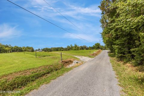 Tiny photo for 525 Basil Fugate Rd, Spring City, TN 37381 (MLS # 1331098)
