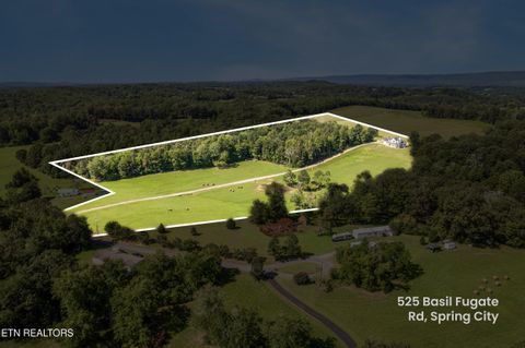 Tiny photo for 525 Basil Fugate Rd, Spring City, TN 37381 (MLS # 1331098)