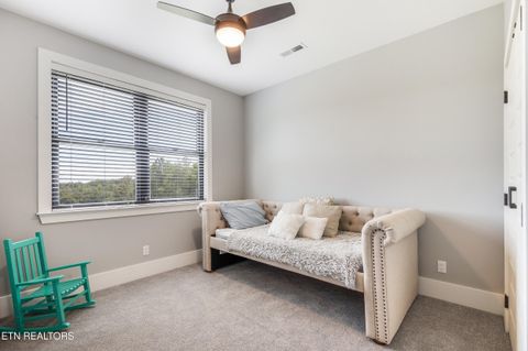 Tiny photo for 525 Basil Fugate Rd, Spring City, TN 37381 (MLS # 1331098)