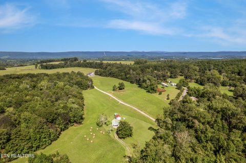 Tiny photo for 525 Basil Fugate Rd, Spring City, TN 37381 (MLS # 1331098)