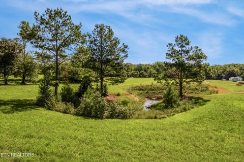 Tiny photo for 525 Basil Fugate Rd, Spring City, TN 37381 (MLS # 1331098)