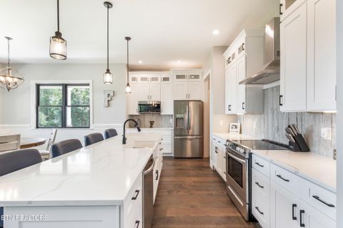 Tiny photo for 525 Basil Fugate Rd, Spring City, TN 37381 (MLS # 1331098)