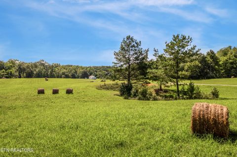 Tiny photo for 525 Basil Fugate Rd, Spring City, TN 37381 (MLS # 1331098)