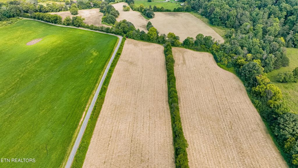 Photo of Tree Top Lane, Tellico Plains, TN 37385 (MLS # 1239295)