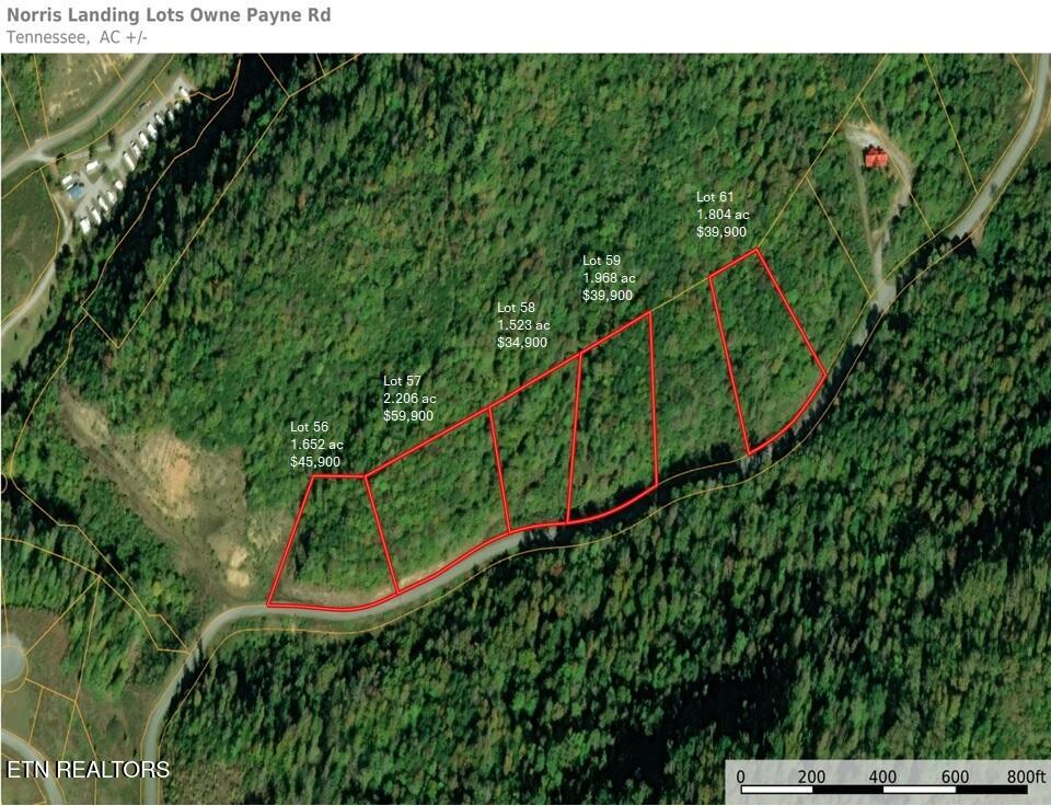 Photo of 56 Owen Payne Rd, Tazewell, TN 37879 (MLS # 1351167)