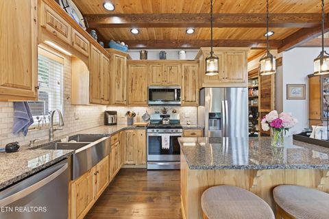Tiny photo for 599 Waterfront Way, Ten Mile, TN 37880 (MLS # 1339498)