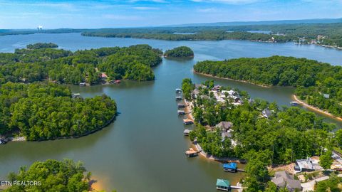 Tiny photo for 599 Waterfront Way, Ten Mile, TN 37880 (MLS # 1339498)