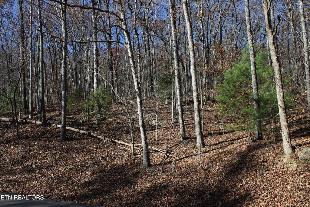 Photo of Scenic Dr, Lot 21, Harriman, TN 37748 (MLS # 1284295)