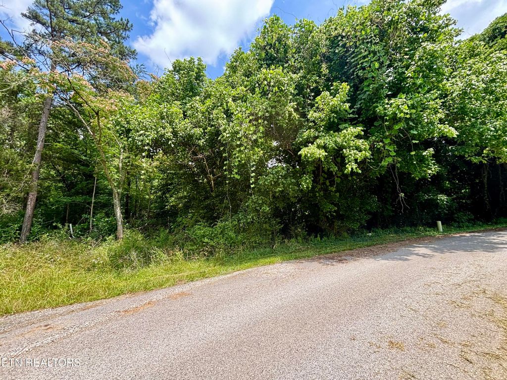 Photo of 0 Davis Hollow Rd, Harriman, TN 37748 (MLS # 1344667)