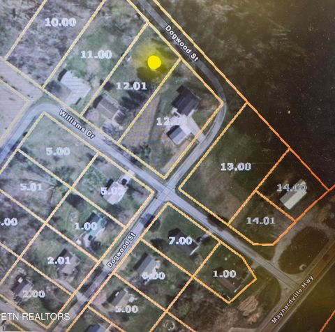 Tiny photo for 210 Williams Rd, Maynardville, TN 37807 (MLS # 1338568)