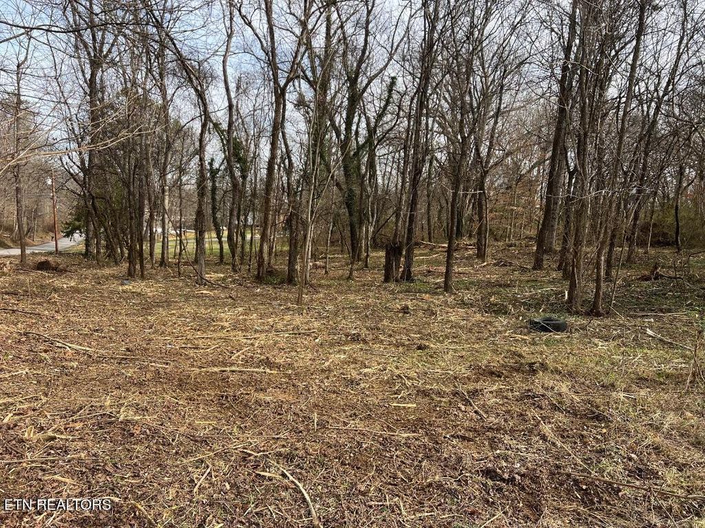 Photo of 4410 Cave Mill Rd, Maryville, TN 37804 (MLS # 1329964)