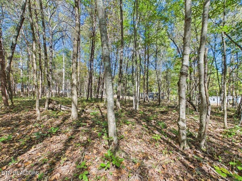 Tiny photo for 112 County Road 262, Niota, TN 37826 (MLS # 1360160)