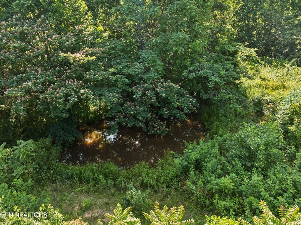 Photo of 378 Johnson Hollow Rd, Sharps Chapel, TN 37866 (MLS # 1305815)