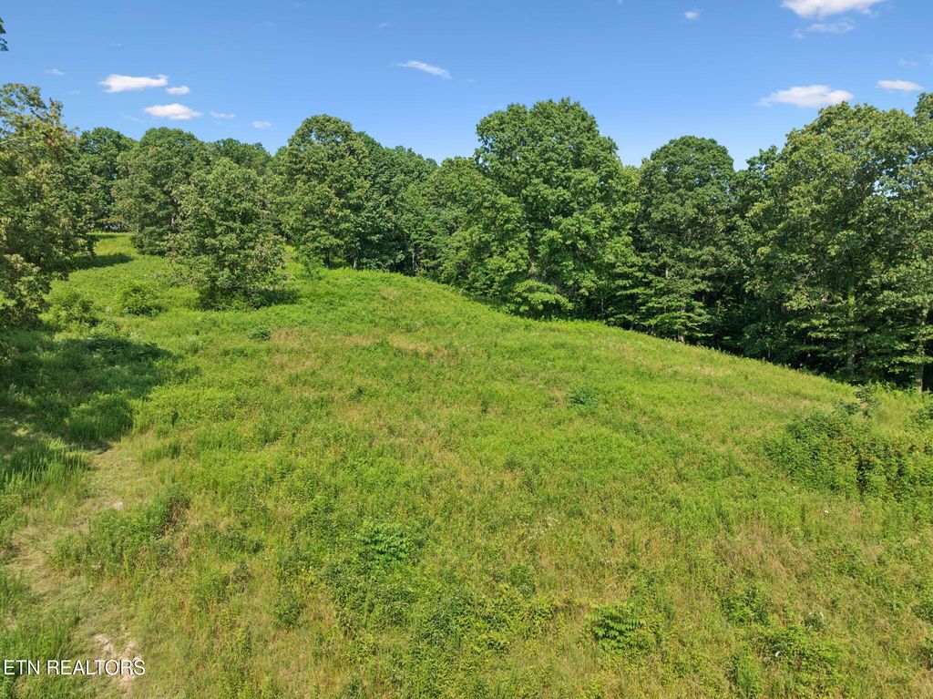 Photo of 378 Johnson Hollow Rd, Sharps Chapel, TN 37866 (MLS # 1305815)