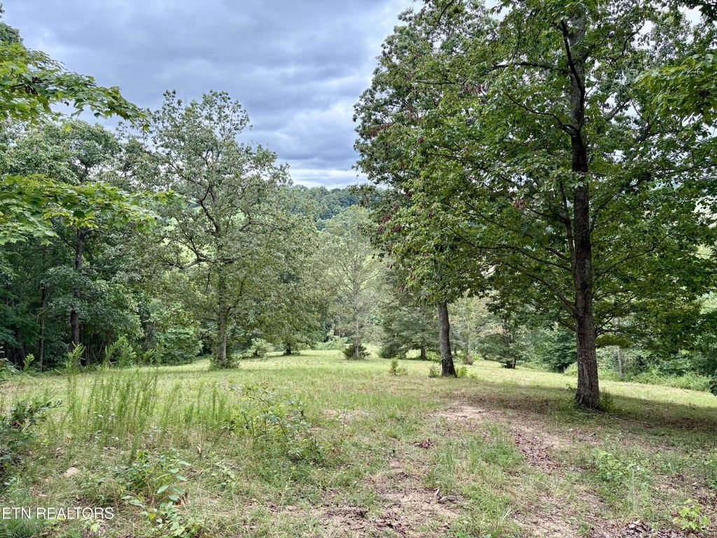Photo of 378 Johnson Hollow Rd, Sharps Chapel, TN 37866 (MLS # 1305815)