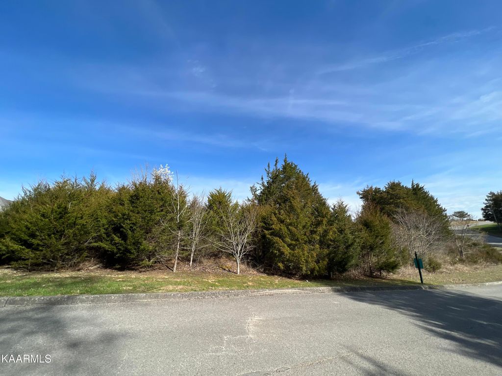 Photo of 386 Woodlake Blvd, Tazewell, TN 37879 (MLS # 1220254)