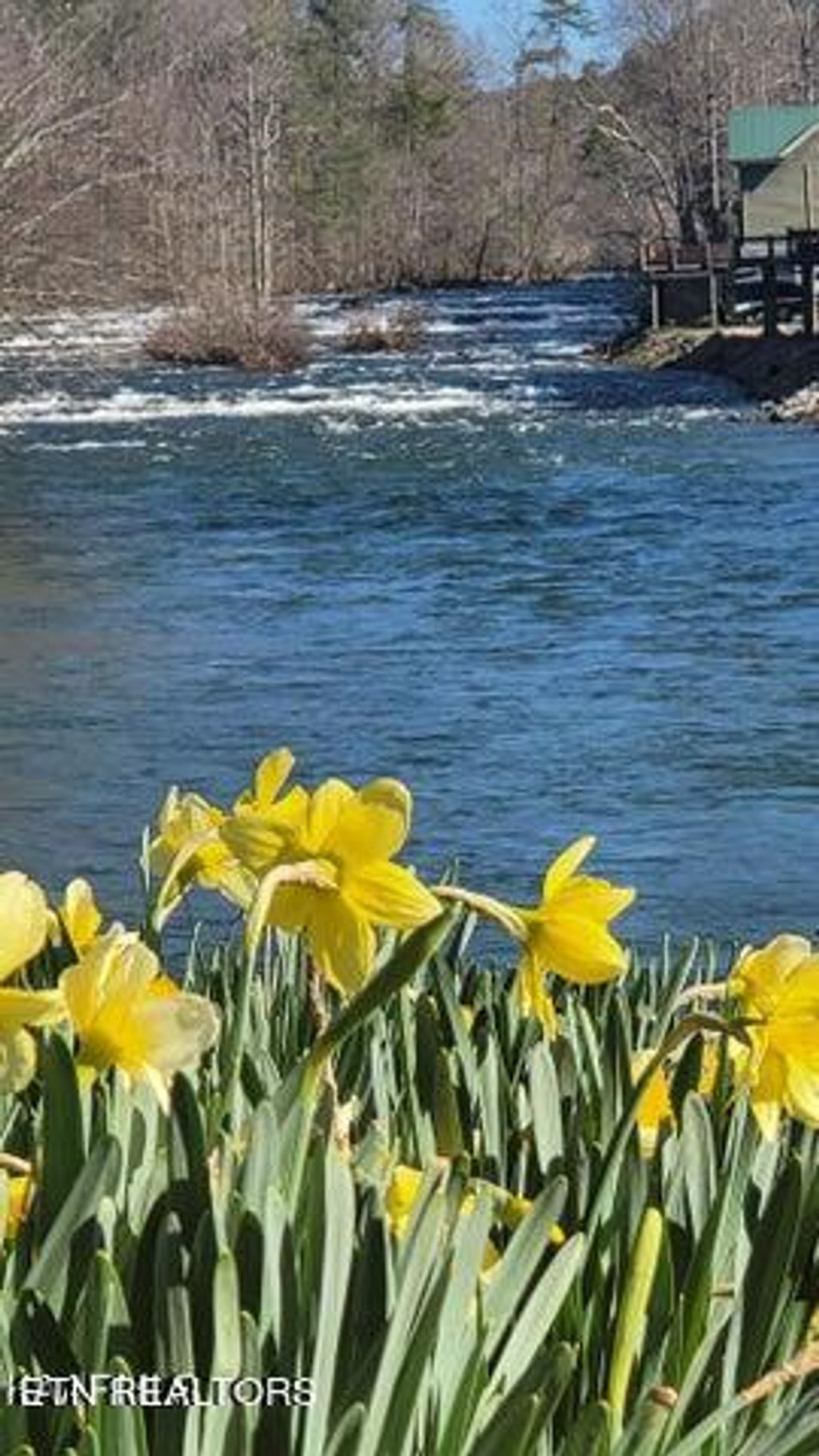 Photo of 0 Rafter Rd, Tellico Plains, TN 37385 (MLS # 1253159)