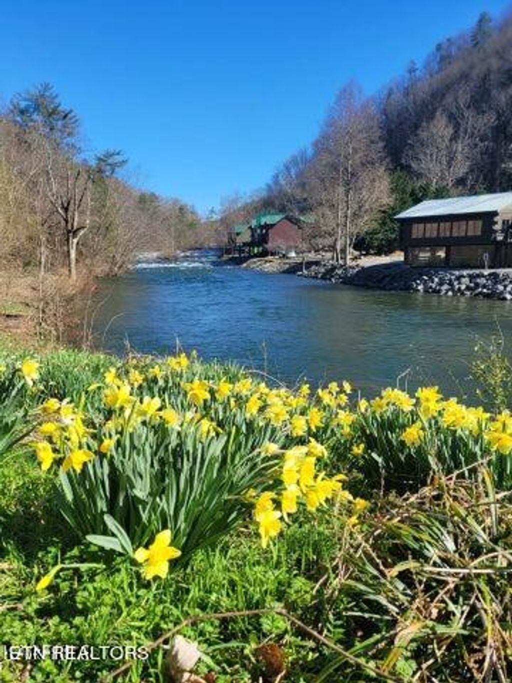 Photo of 0 Rafter Rd, Tellico Plains, TN 37385 (MLS # 1253159)